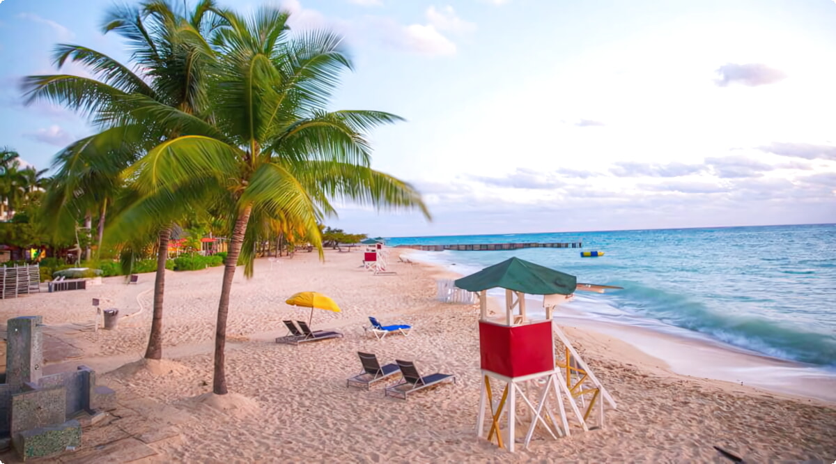 Nosso inventário inclui uma ampla variedade de veículos.